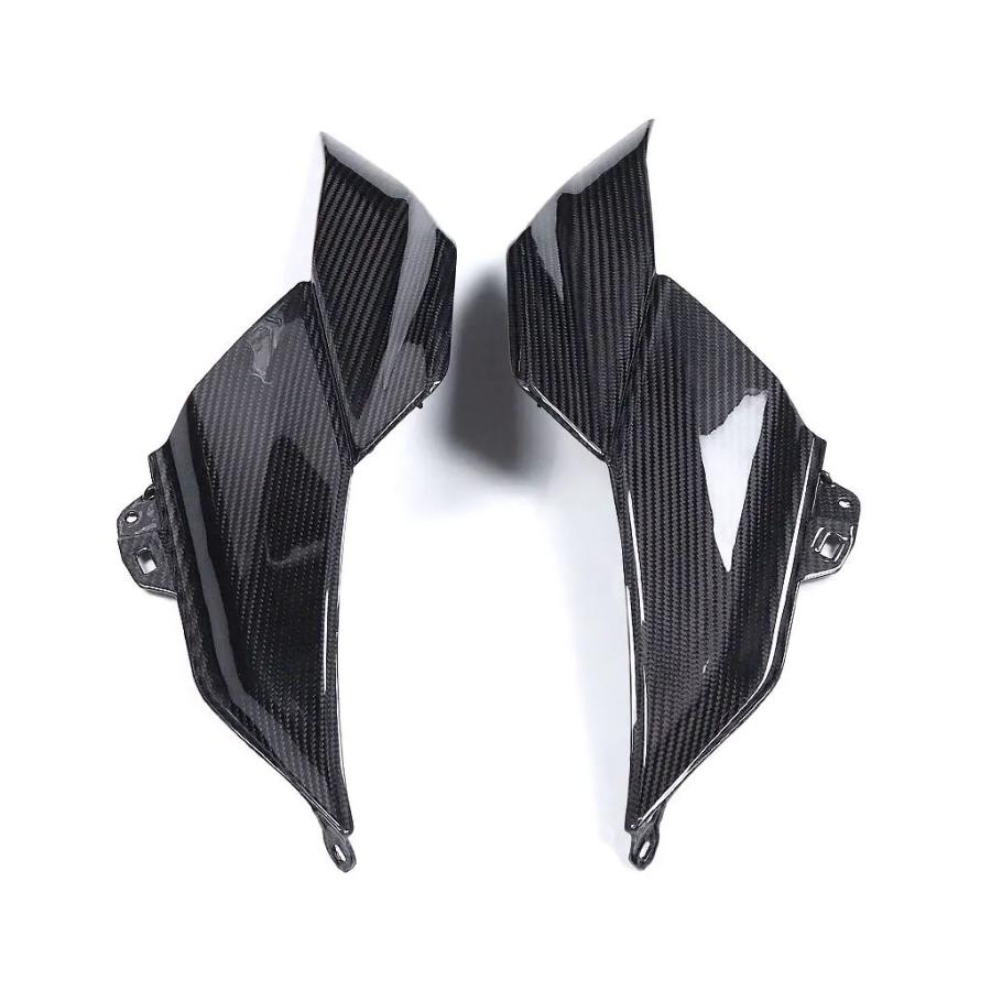 【並行輸入品】カーボンロアタンクカバー bmw r 1300 gs 2024 100%_6