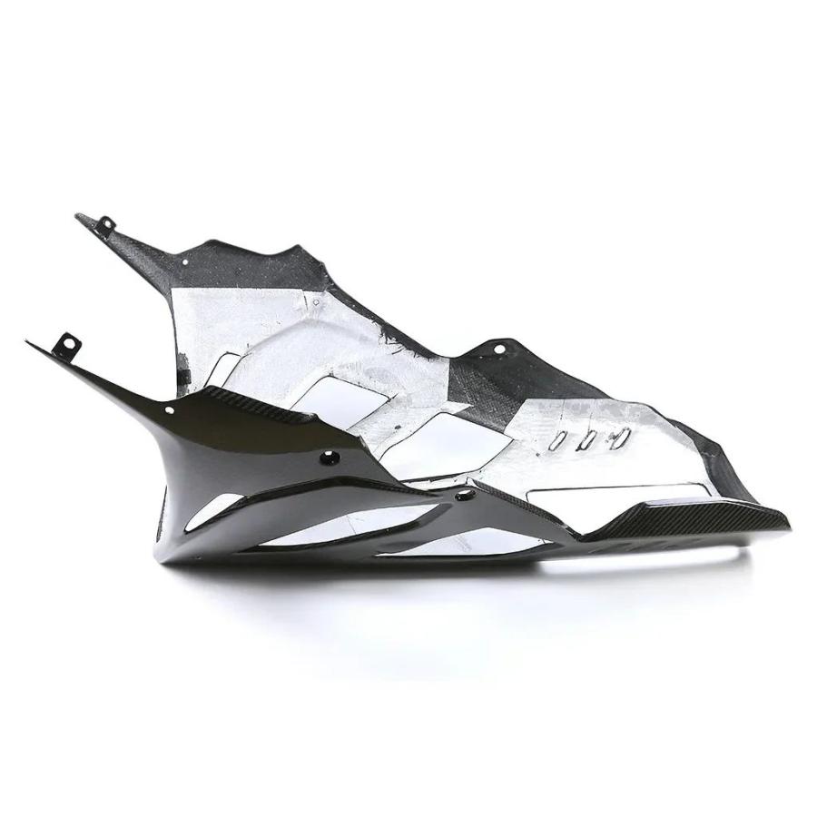【並行輸入品】BMW S 1000 RR 2020-2025 100% カーボンベルパン用_3