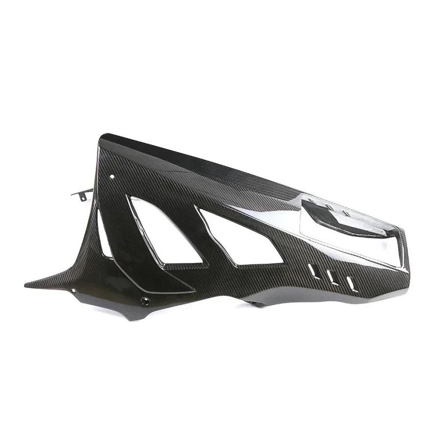 【並行輸入品】BMW S 1000 RR 2020-2025 100% カーボンベルパン用_5
