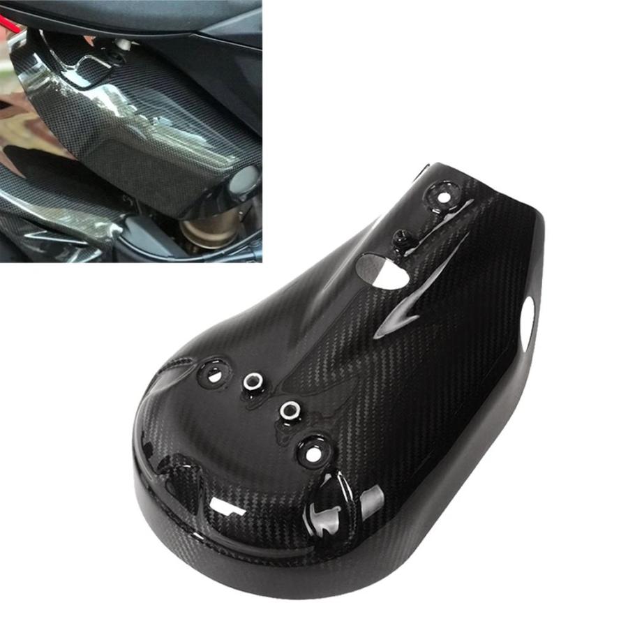 並行輸入品 ドゥカティ959バイク 二輪用カーボンエキゾーストガードキット 1299 ストリートファイターウィングV2 100%