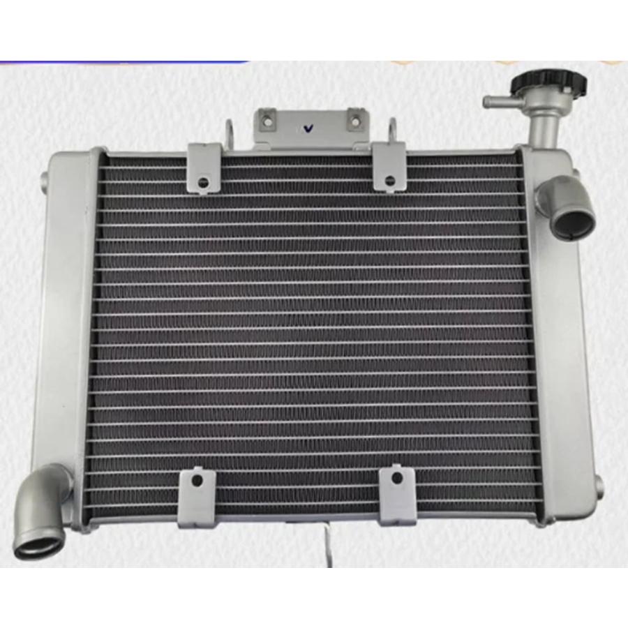 並行輸入品 ベネリ BJ500-2C BJ500-6A TRK502 TRK502X LEONCINO500 用ラジエーター