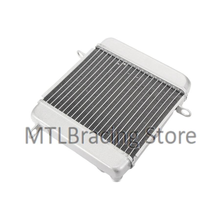 並行輸入品 ホンダ NSS250 2001-2007 19010-KFG-J01用 エンジン冷却ラジエーター クーラント ウォータータンク_3