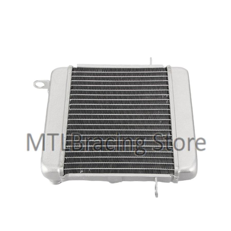 並行輸入品 ホンダ NSS250 2001-2007 19010-KFG-J01用 エンジン冷却ラジエーター クーラント ウォータータンク_4