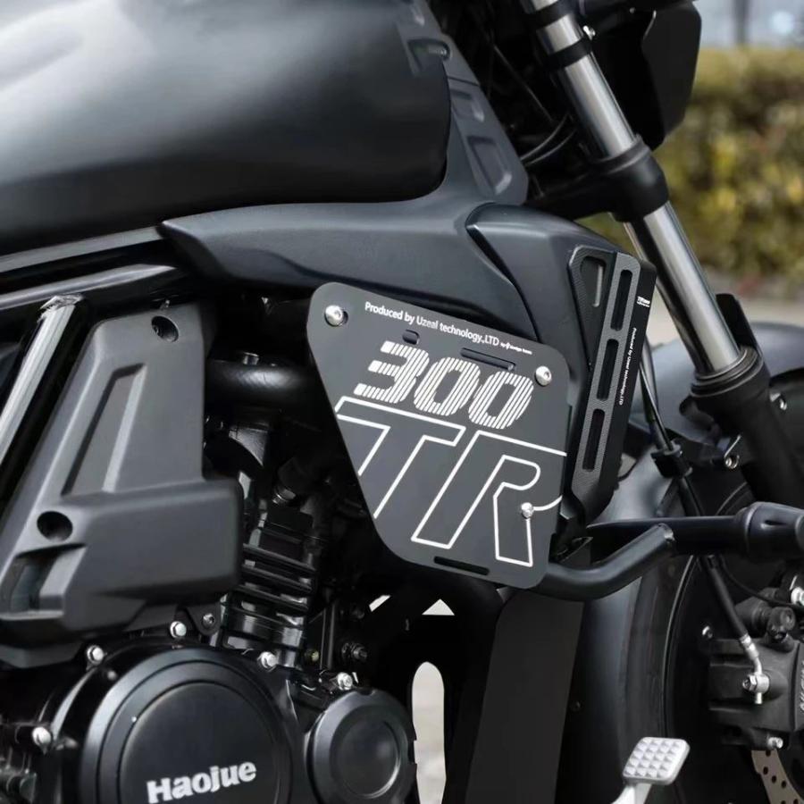 並行輸入品 合金サイドパネル バイク 二輪カスタム部品 Hajue tr300クルーザー用カスタム