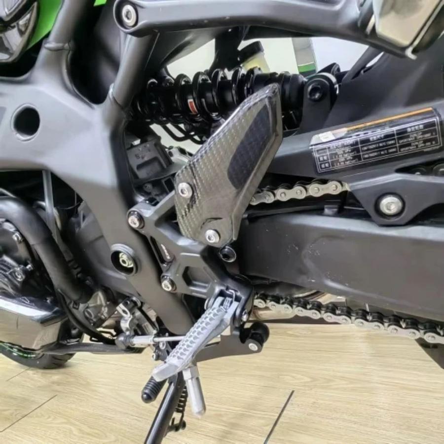 並行輸入品 カワサキ ZX-4R / ZX-4RR ZX-25R 2020-2024 100％カーボン
