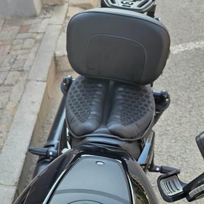 【並行輸入品】 多目的ドライバー助手席 ハーレーネスター用ラゲッジラック付きライダーシシーバー スペシャルrh 975 rh975s 2022 2023の画像