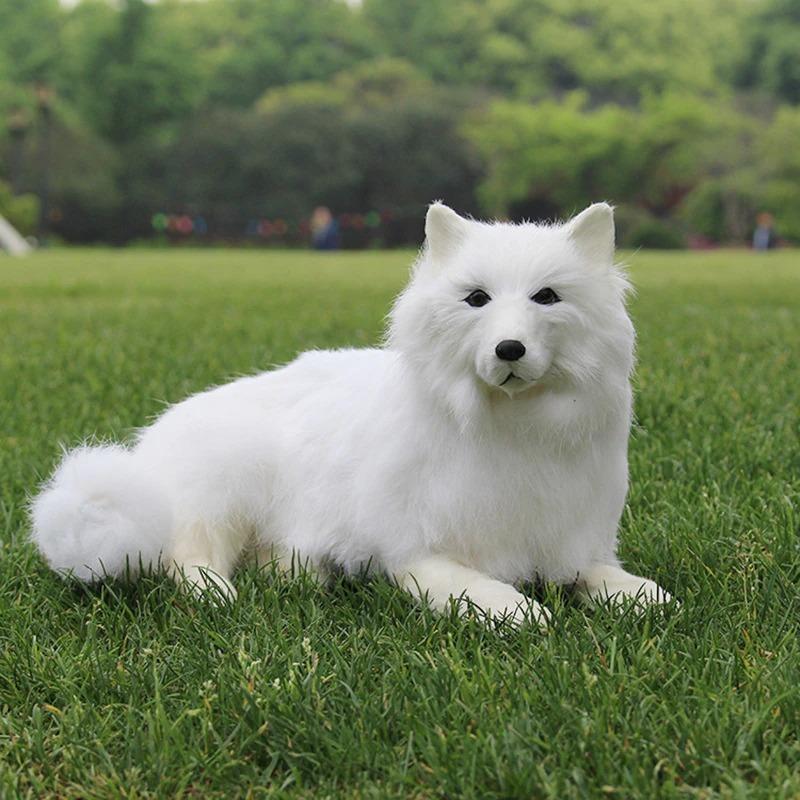 犬 ぬいぐるみ コリー シェルティ ドッグ 人形 インテリア 置物 犬 ぬいぐるみ コリー シェルティ ドッグ 人形 インテリア 置物