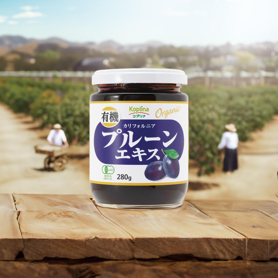 有機プルーンエキス 280g 1個 (濃縮エキス/カリフォルニア産/砂糖・保存料不使用/まろやか甘み/食物繊維/オーガニック/JAS/健康) |  | 11