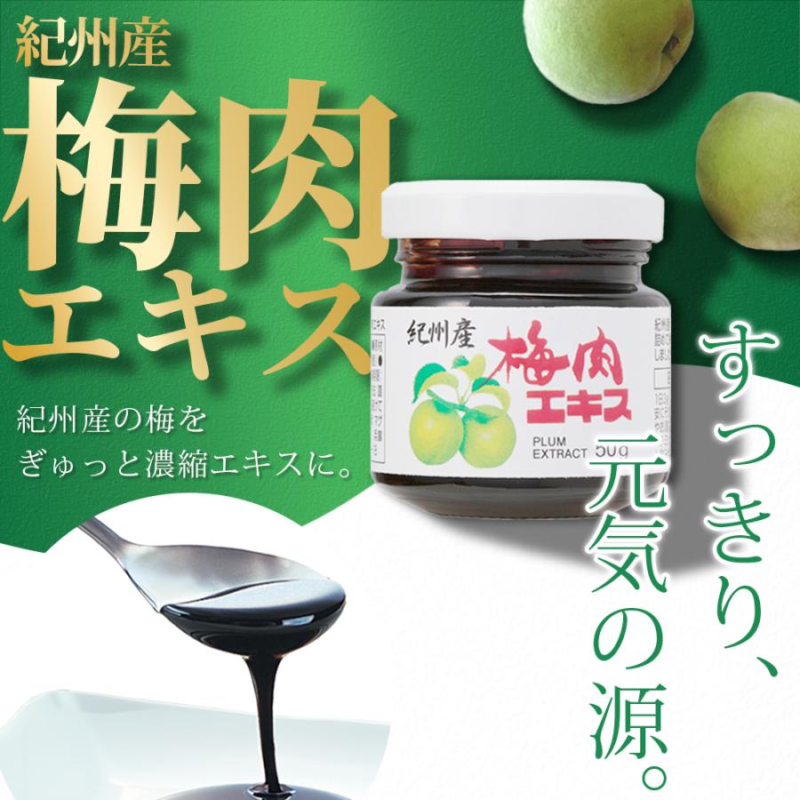 Koplina 紀州産梅肉エキス 50g 1個 (濃縮エキス/国産/青梅 Koplina 紀州産梅肉エキス 50g 1個 (濃縮エキス/国産/青梅