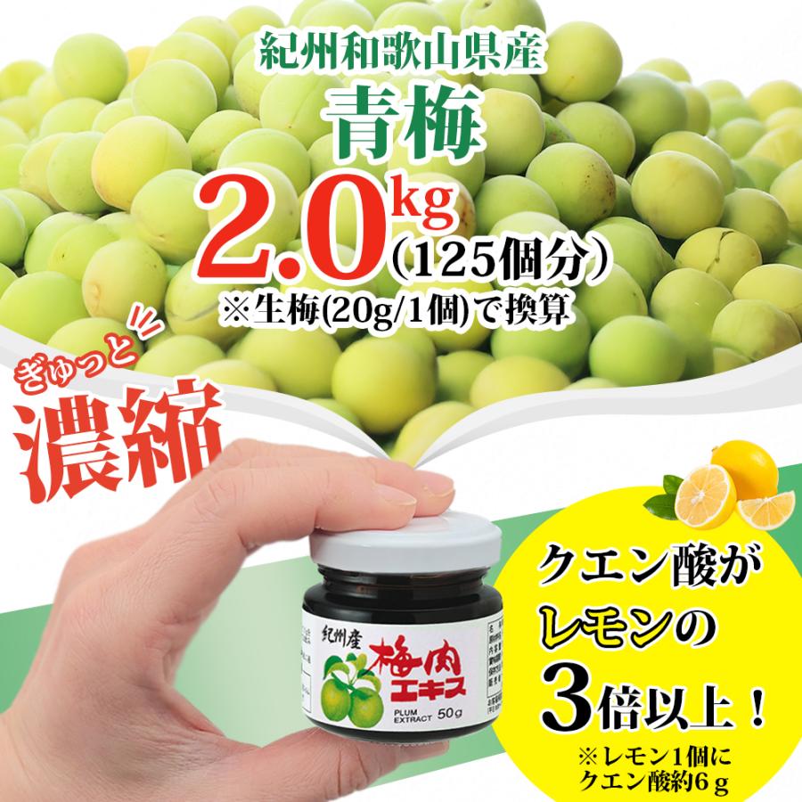 Koplina 紀州産梅肉エキス 50g 1個 (濃縮エキス/国産/青梅 Koplina 紀州産梅肉エキス 50g 1個 (濃縮エキス/国産/青梅