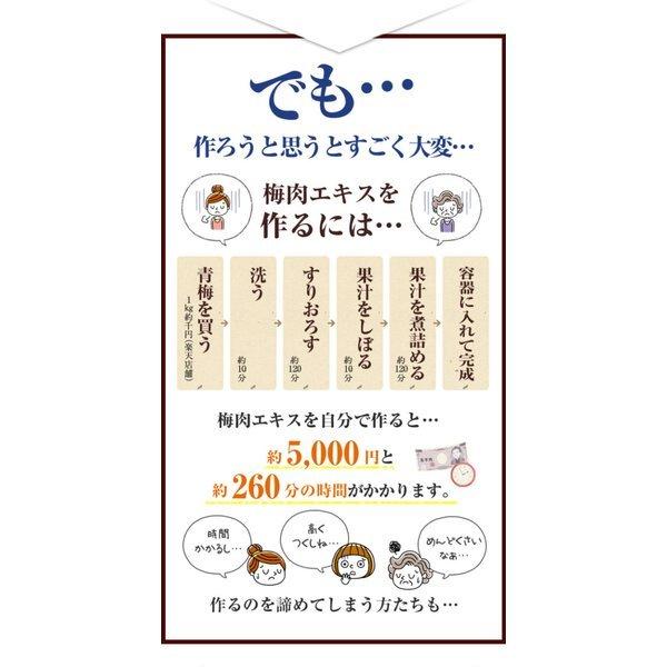 紀州産梅肉エキス 50g 1個 【濃縮エキス/国産/青梅/和歌山/うめ/クエン酸/無添加/原料梅のみ/健康/国内製造】｜ykoplina｜07