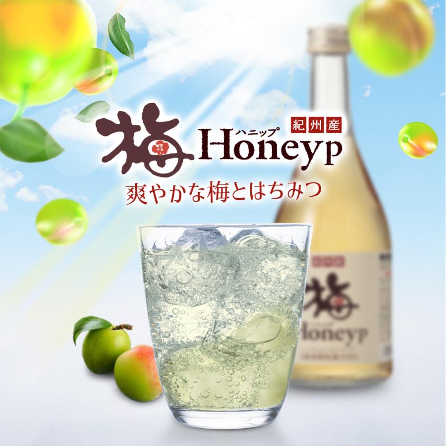 SALE61％OFF賞味期限間近2026.5.15／紀州産梅ハニップ 590g 6本 (希釈