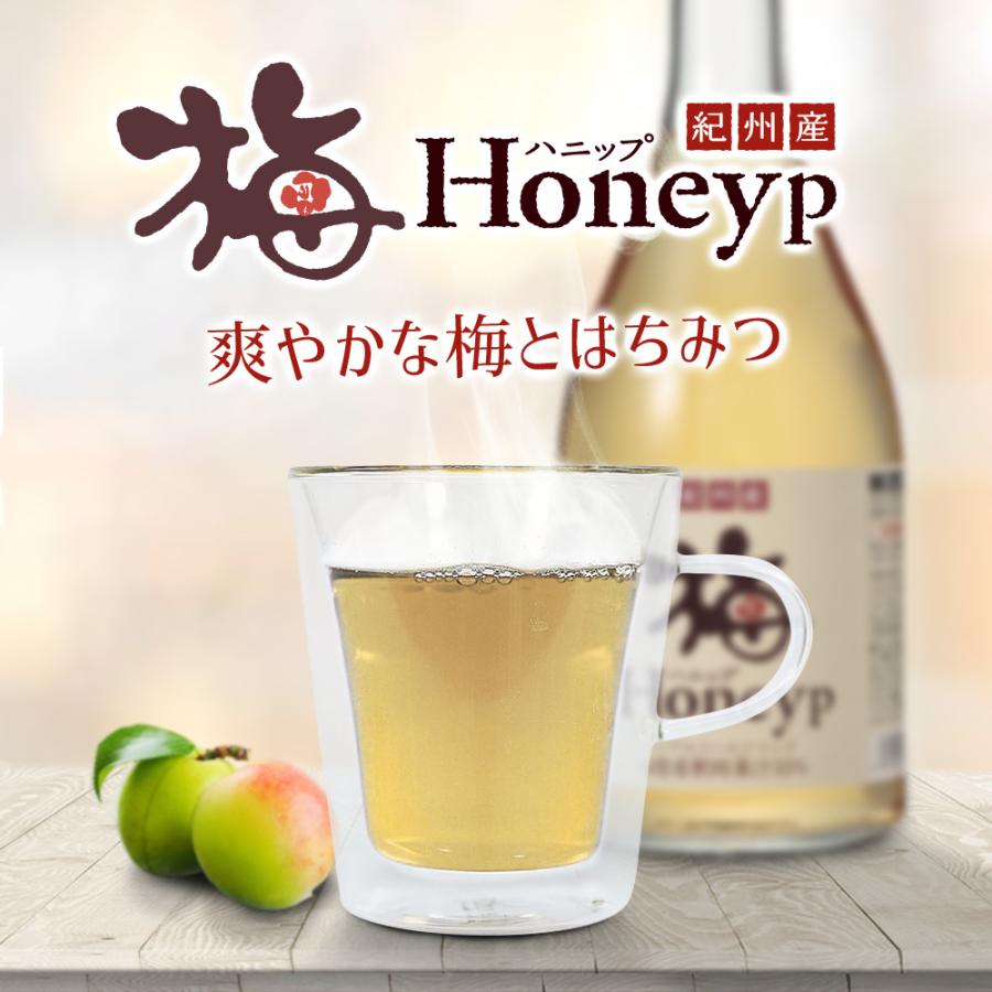 紀州産梅ハニップ 590g 1本 (希釈ドリンク/梅ジュース/ノンアルコール