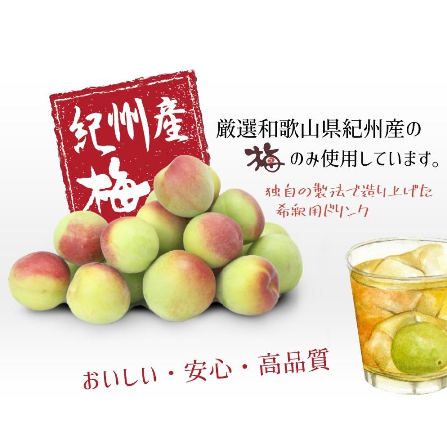 紀州産梅ハニップ 590g 1本 (希釈ドリンク/梅ジュース/ノンアルコール
