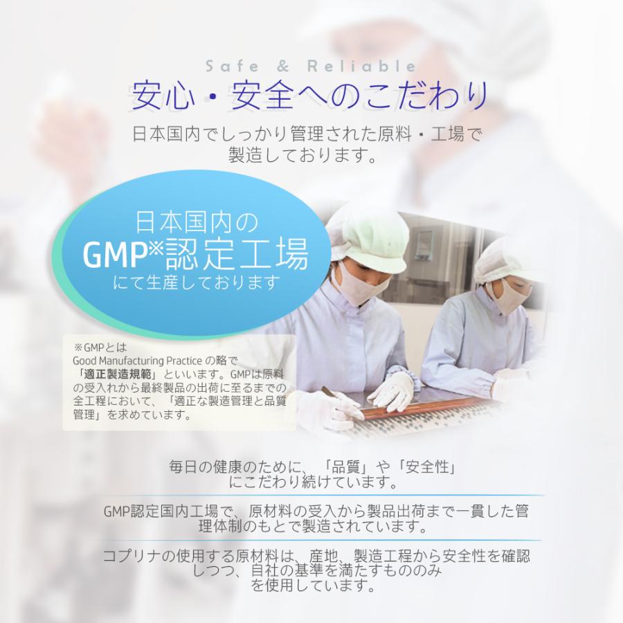 ブルーベリー＆ルテイン 60粒 1袋60日分  (高濃度/北欧産ビルベリー/アントシアニン/ルテイン/健康/サプリ/栄養/国内製造) | Koplina | 10