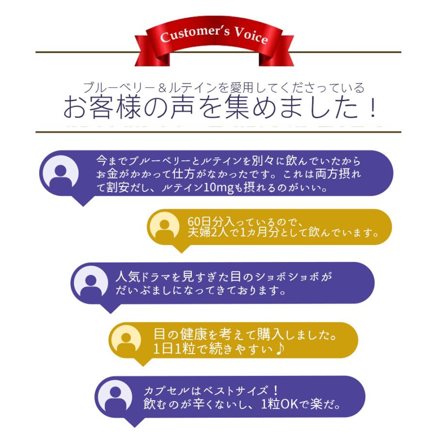 ブルーベリー＆ルテイン 60粒 1袋60日分  (高濃度/北欧産ビルベリー/アントシアニン/ルテイン/健康/サプリ/栄養/国内製造) | Koplina | 11