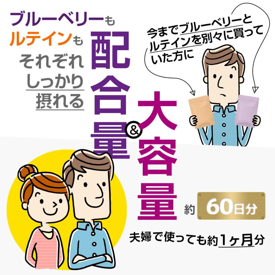 ブルーベリー＆ルテイン 60粒 1袋60日分  (高濃度/北欧産ビルベリー/アントシアニン/ルテイン/健康/サプリ/栄養/国内製造) | Koplina | 02