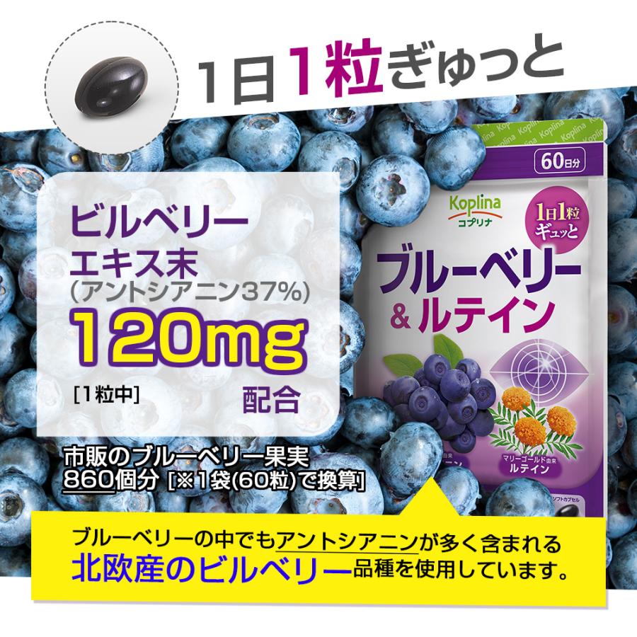 ブルーベリー＆ルテイン 60粒 1袋60日分  (高濃度/北欧産ビルベリー/アントシアニン/ルテイン/健康/サプリ/栄養/国内製造) | Koplina | 03