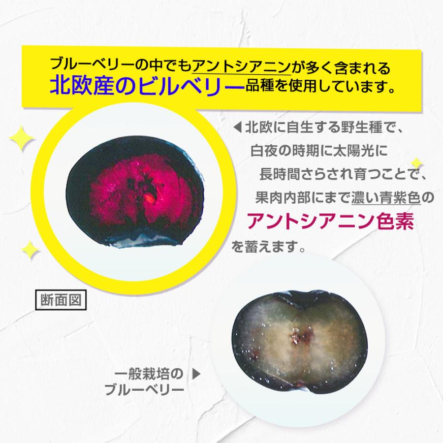 ブルーベリー＆ルテイン 60粒 1袋60日分  (高濃度/北欧産ビルベリー/アントシアニン/ルテイン/健康/サプリ/栄養/国内製造) | Koplina | 04