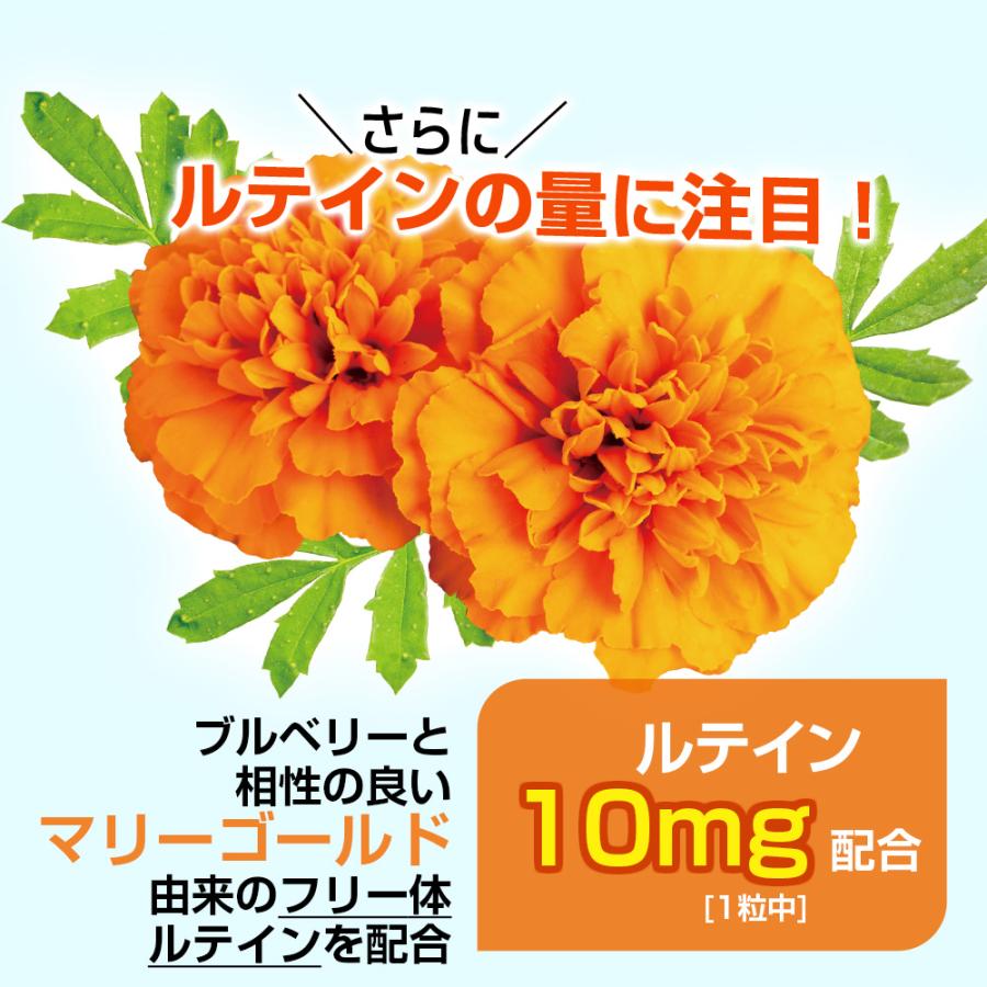 ブルーベリー＆ルテイン 60粒 1袋60日分  (高濃度/北欧産ビルベリー/アントシアニン/ルテイン/健康/サプリ/栄養/国内製造) | Koplina | 05