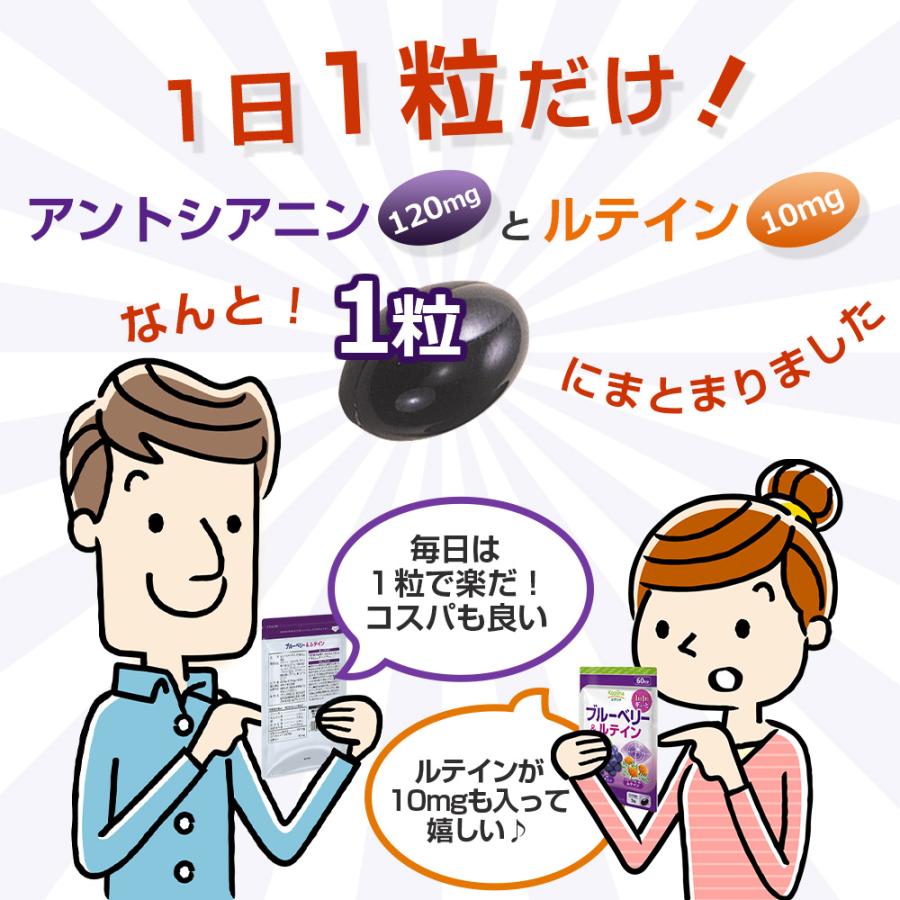 ブルーベリー＆ルテイン 60粒 1袋60日分  (高濃度/北欧産ビルベリー/アントシアニン/ルテイン/健康/サプリ/栄養/国内製造) | Koplina | 06