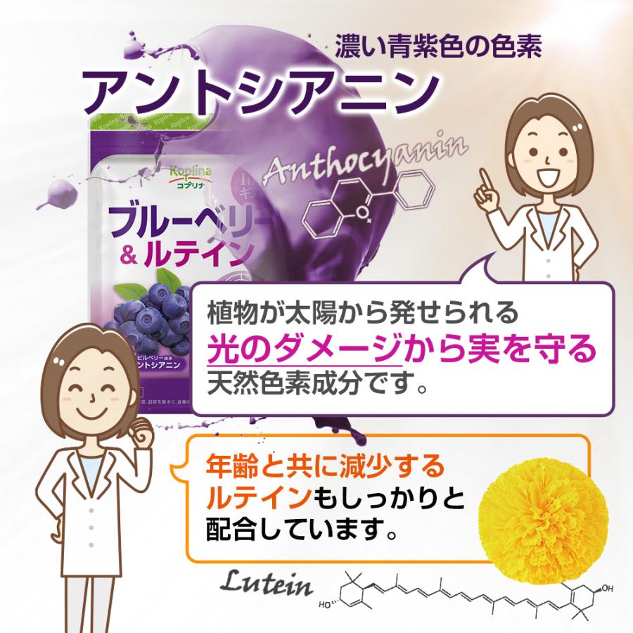 ブルーベリー＆ルテイン 60粒 1袋60日分  (高濃度/北欧産ビルベリー/アントシアニン/ルテイン/健康/サプリ/栄養/国内製造) | Koplina | 07