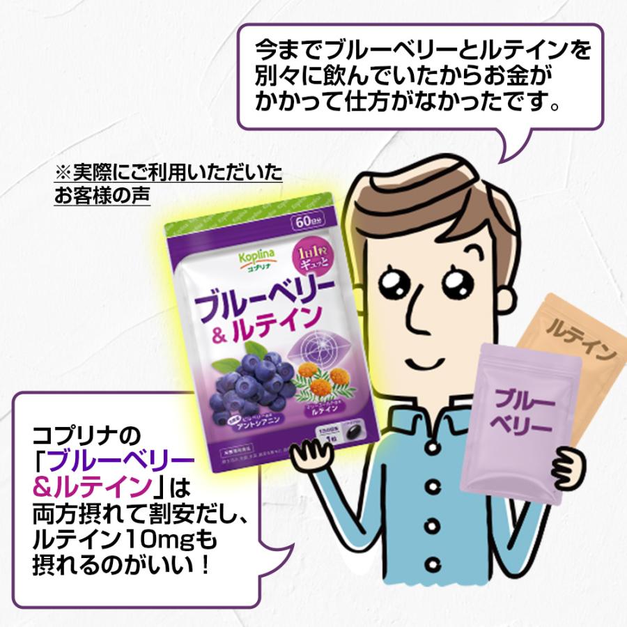 ブルーベリー＆ルテイン 60粒 1袋60日分  (高濃度/北欧産ビルベリー/アントシアニン/ルテイン/健康/サプリ/栄養/国内製造) | Koplina | 08