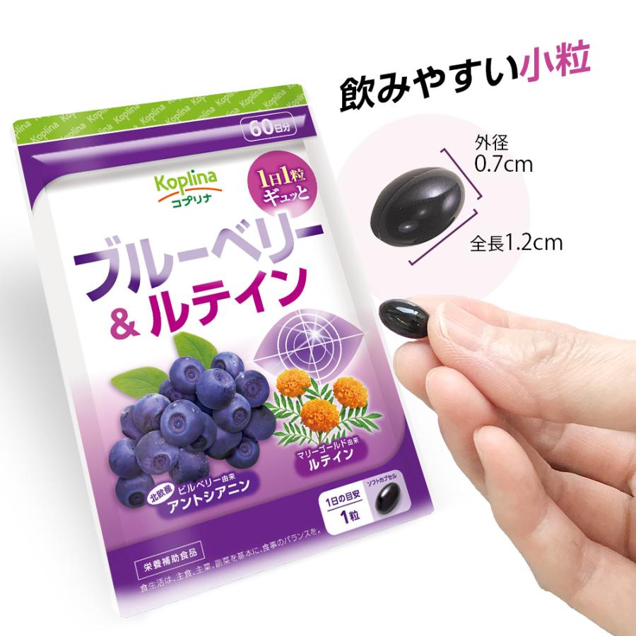 ブルーベリー＆ルテイン 60粒 1袋60日分  (高濃度/北欧産ビルベリー/アントシアニン/ルテイン/健康/サプリ/栄養/国内製造) | Koplina | 09