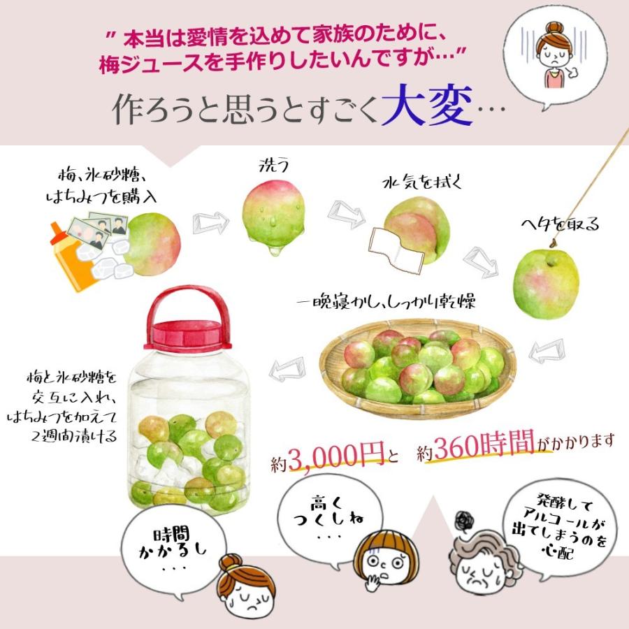 紀州産　梅ハニップジュース　590g 12本セット プラム食品 完熟梅ハニップ 濃縮梅ジュースの素 590g×12本セット