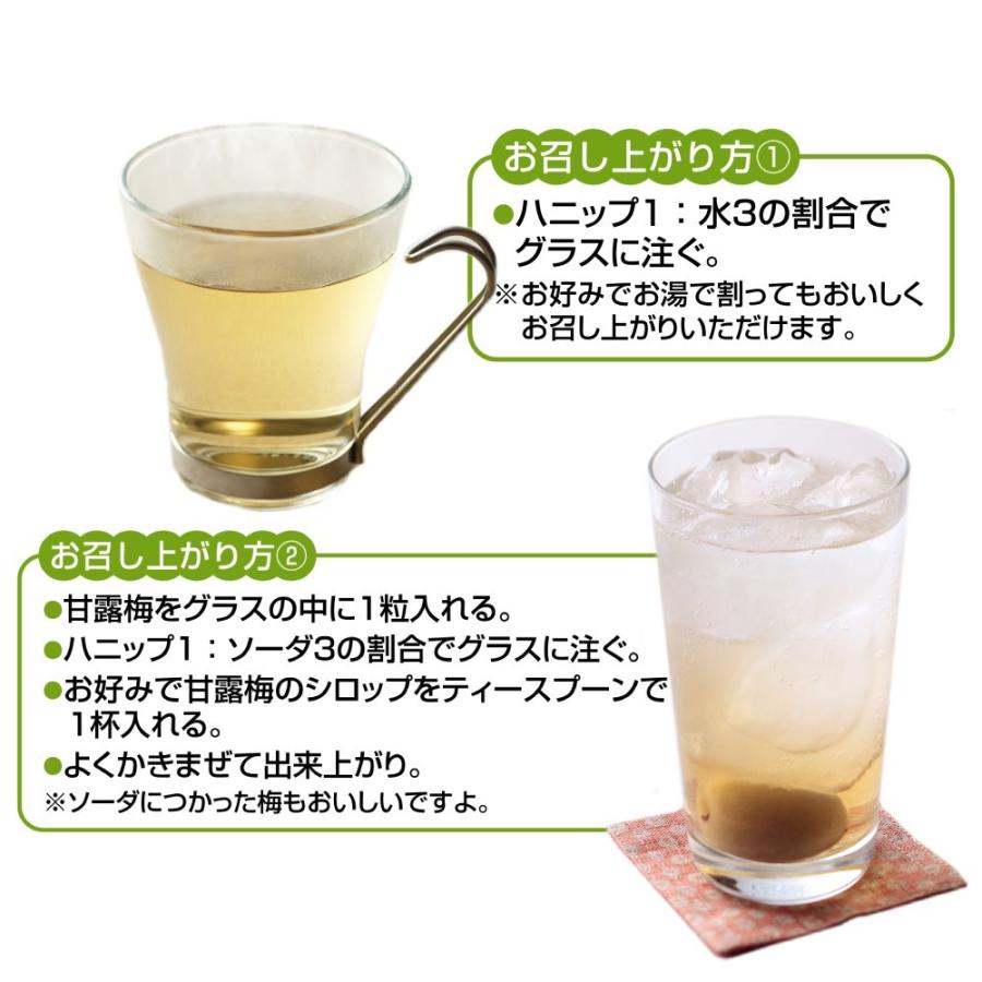 53％OFF／紀州産梅ハニップ 590g 3本 (希釈ドリンク/梅ジュース/ノン