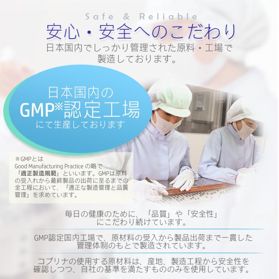 かんでたべるDHA＆EPA 60粒 1袋30日分 (プチっとはじける新食感/魚型/子育/オレンジ/DHA＆EPA/子供/魚不足/成長期/おいしいサプリ/国内製造) | Koplina | 13