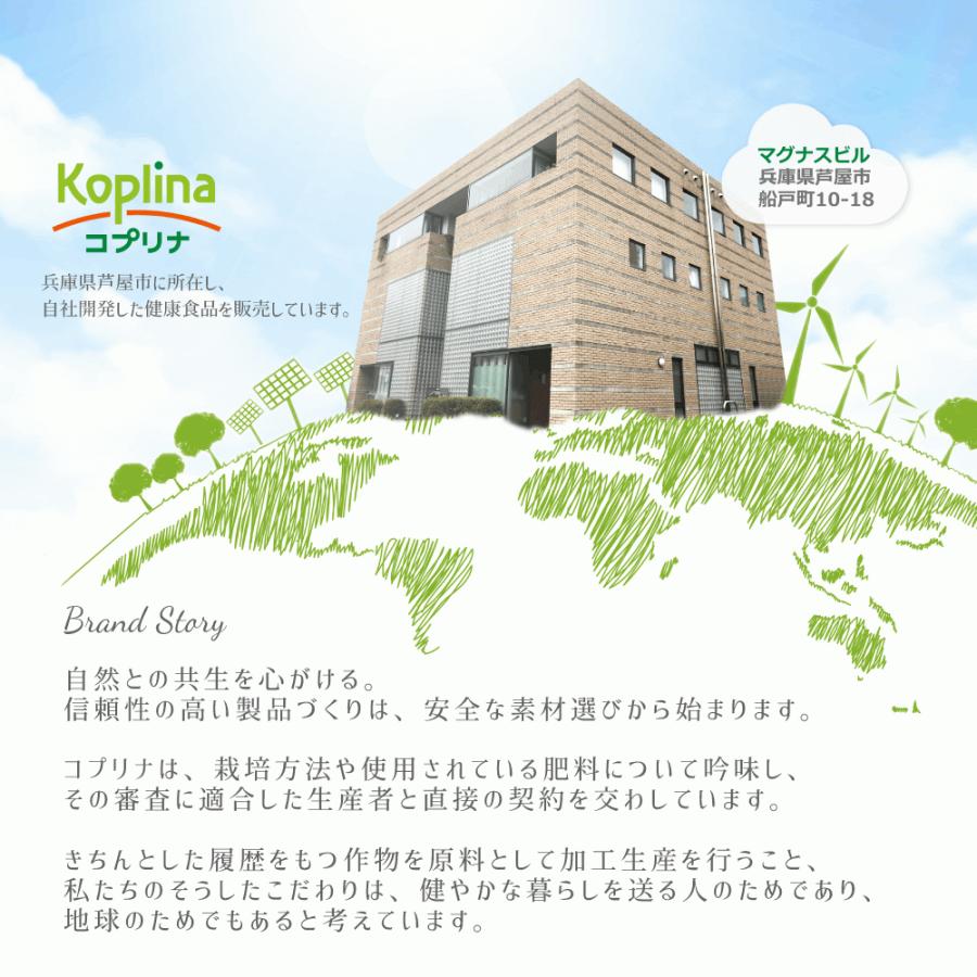 かんでたべるDHA＆EPA 60粒 2袋60日分 (プチっとはじける新食感/魚型/子育/オレンジ/DHA＆EPA/子供/魚不足/成長期/おいしいサプリ/国内製造)