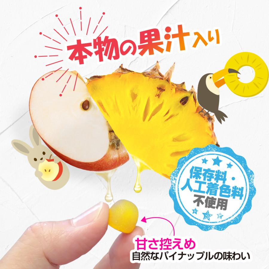 グミサプリ 鉄&カルシウム 60粒 3袋60日分 (グミ/パイナップル果汁/おいしいサプリ/マルチミネラル/子ども/健康/栄養/国内製造) | Koplina | 06