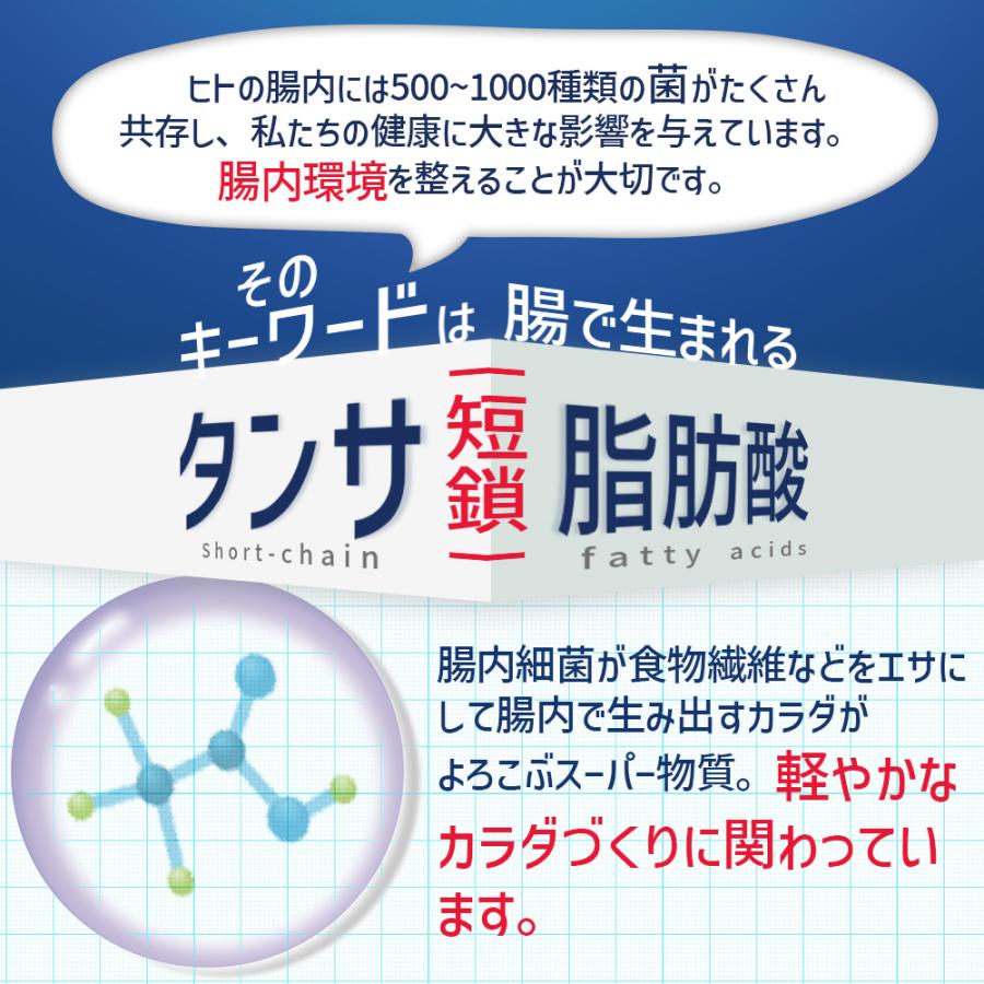 すっきり酪酸菌 90粒 1袋30日分【軽やかなカラダづくり/1日3粒/タンサ脂肪酸を生み出す/酪酸菌/ビフィズス菌/乳酸菌/イヌリン】｜ykoplina｜03