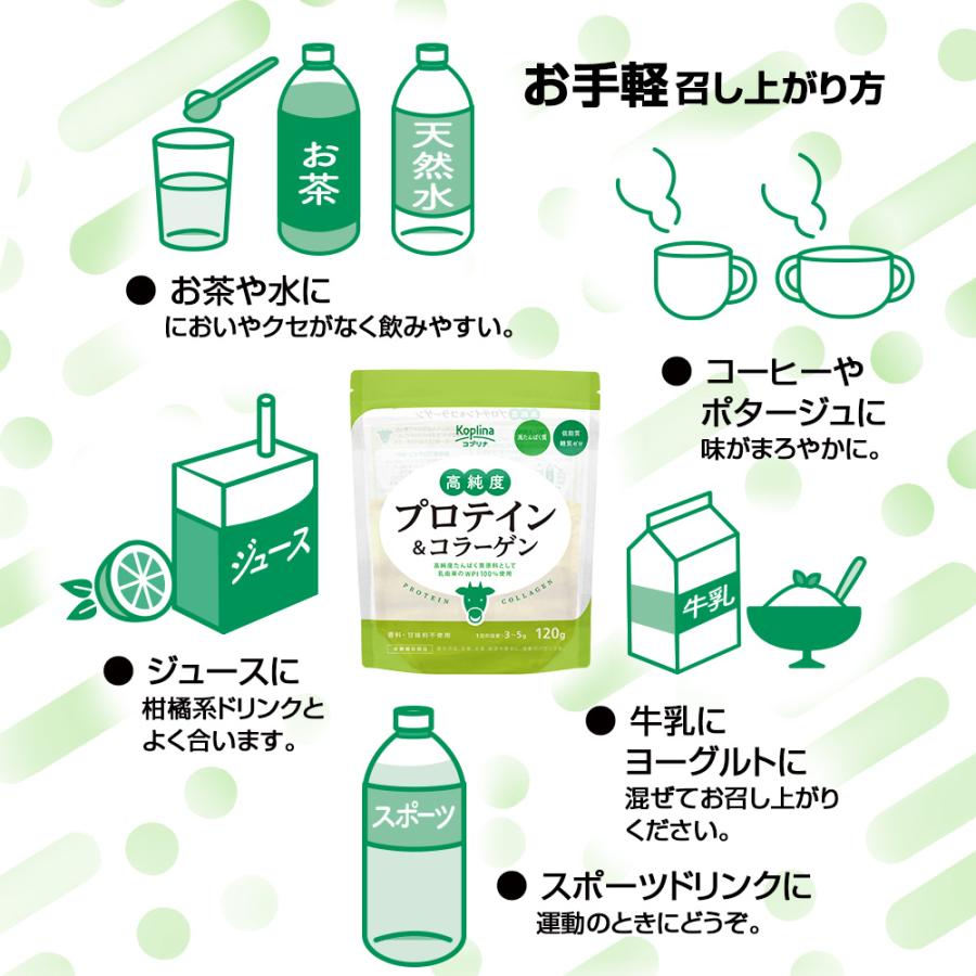 kengorojuri　プロテイン6袋 kengorojuri様専用 プロテイン6袋 【公式通販】