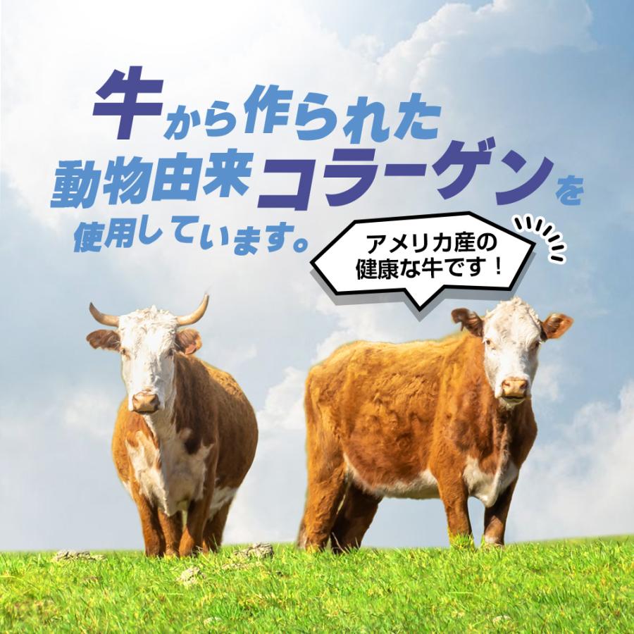 ＼28％OFF／高純度さらさらコラーゲン 120g【純度100％/牛由来低分子コラーゲン/匂い少ない/溶けやすい/脂質ゼロ/糖質ゼロ/無添加/無着色/プレーン/国内製造】 | Koplina | 06