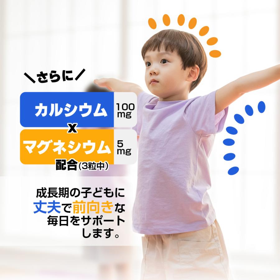 グミサプリ 鉄＆カルシウム（りんご味） 120粒 40日分 2個セット 果汁入り おいしい ミネラル 子ども 健康 サプリメント 栄養補助食品 安心国内製造 コプリナ | Koplina | 10
