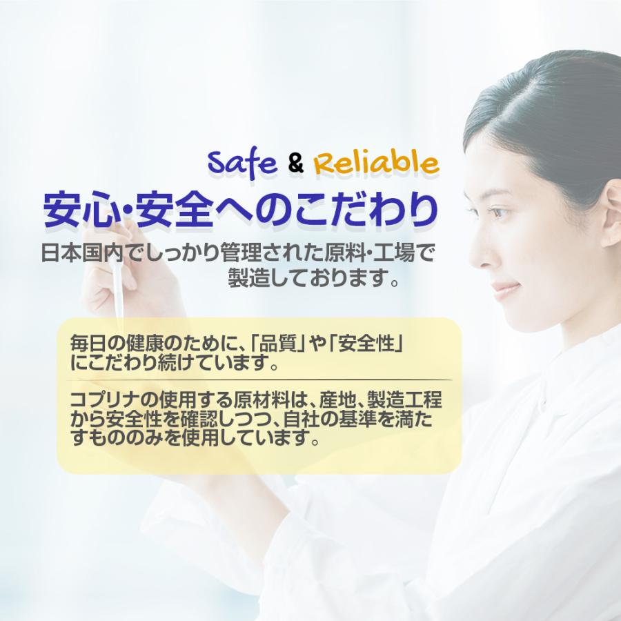 グミサプリ 鉄＆カルシウム（りんご味） 120粒 40日分 2個セット 果汁入り おいしい ミネラル 子ども 健康 サプリメント 栄養補助食品 安心国内製造 コプリナ | Koplina | 12