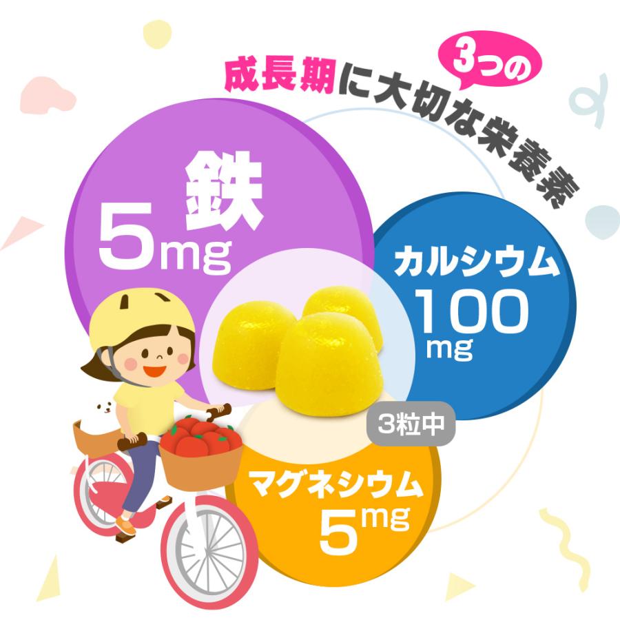 グミサプリ 鉄＆カルシウム（りんご味） 180粒 60日分 3個セット 果汁入り おいしい ミネラル 子ども 健康 サプリメント 栄養補助食品 安心国内製造 コプリナ | Koplina | 03