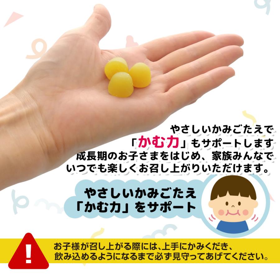 3種のグミサプリ 3粒×15袋 15日分【個包装 コーラ味 グレープ味 パイナップル味 DHA マルチビタミン 鉄 カルシウム 成長期 子ども 健康 サプリメント】 | Koplina | 09
