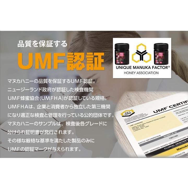 100% PURE NEWZEALAND HONEY マヌカハニー UMF10+ 2個 (MGO263mg