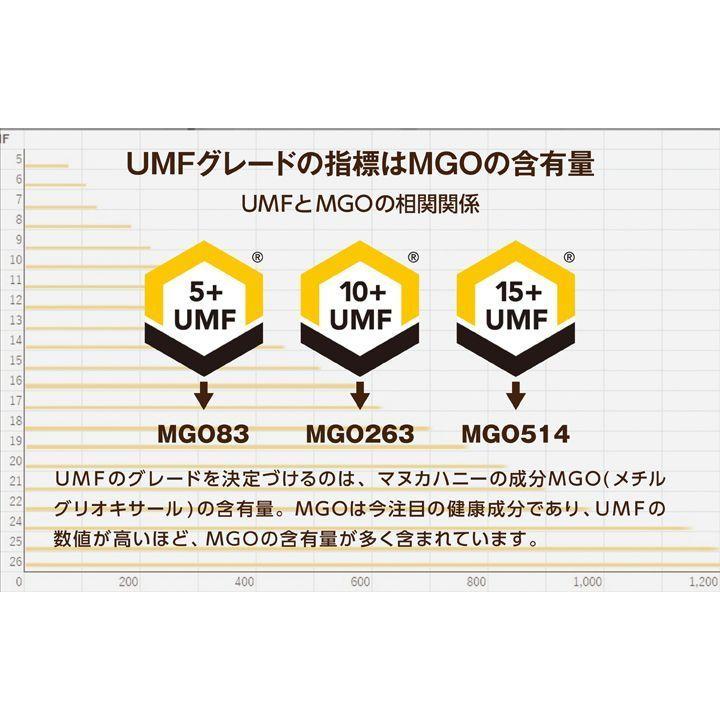 100% PURE NEWZEALAND HONEY マヌカハニー UMF10+ 2個 (MGO263mg