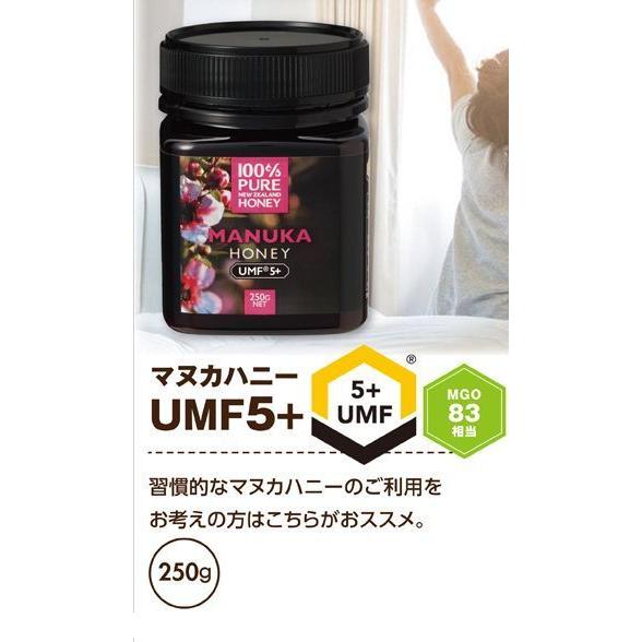 ニュージーランド産　マヌカハニー　MGO100 マヌカハニー(MGO100+)250g ※ニュージーランド産はちみつ