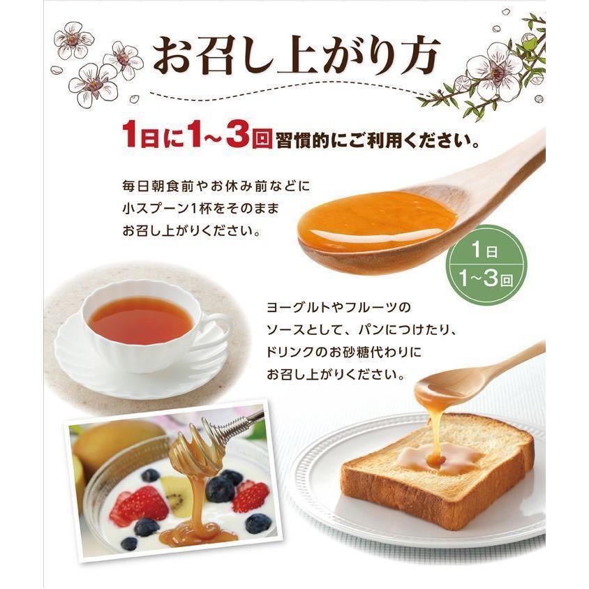 100%PURE NEWZEALAND HONEY MANUKA UMF15+ (MGO514mg/kg)マヌカハニー 250g 12個セット/ケース売り  【はちみつ/ニュージーランド産/直輸入品/抗菌物質】｜ykoplina｜13