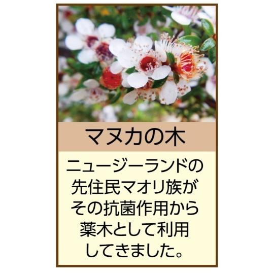 旧品処分SALE52%OFF／100% PURE NEWZEALAND HONEY マヌカハニー UMF15+