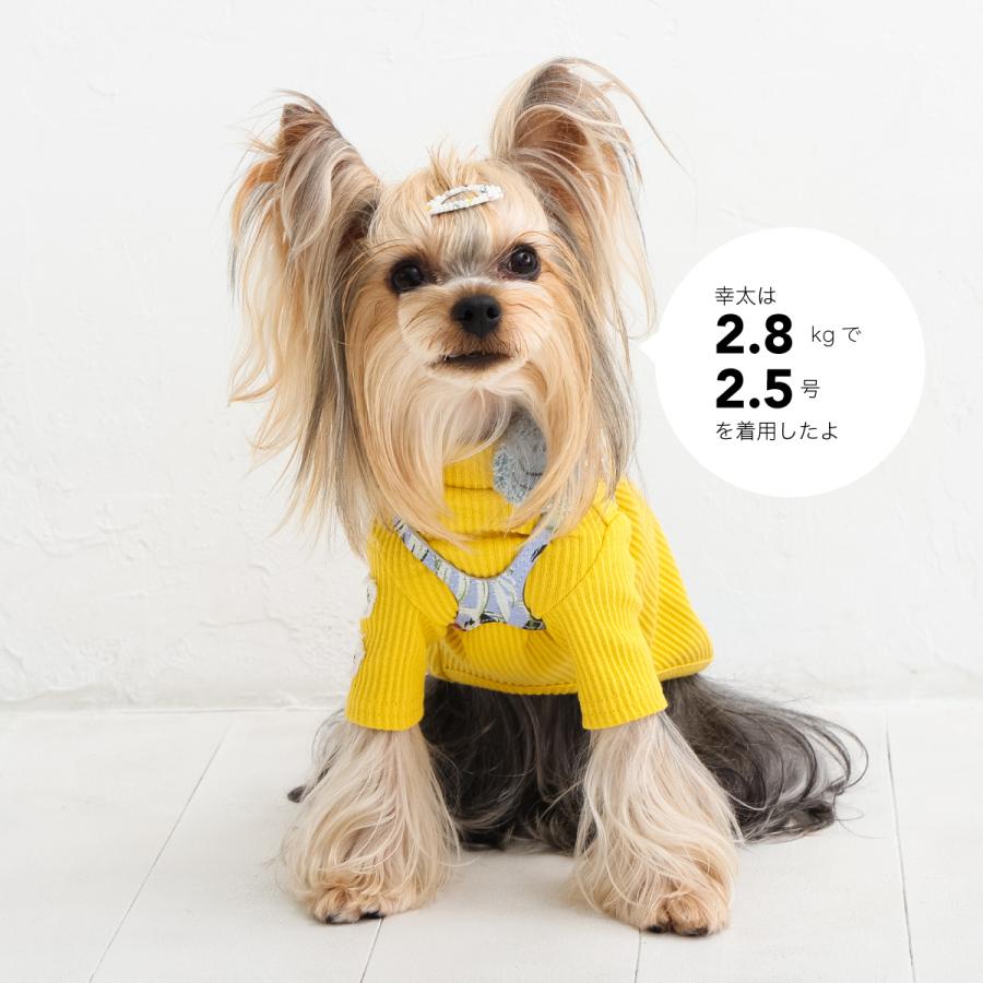 buddybelt（バディベルト）ハーネス 2.5号 ラグジュアリーの画像