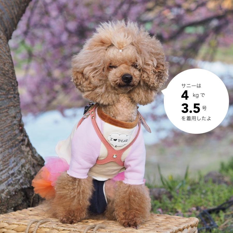 buddybelt（バディベルト）ハーネス 5号 プレミアム : 谷根犬 犬服