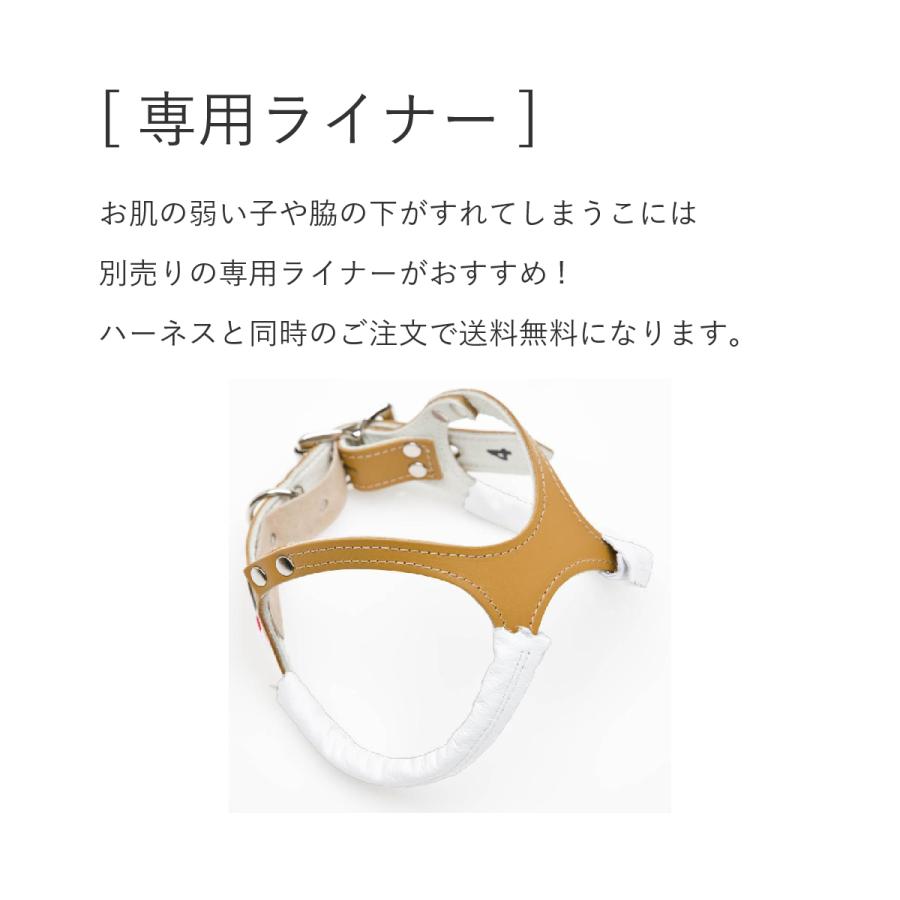 buddybelt（バディベルト）ハーネス 6号 プレミアム : 谷根犬 犬服