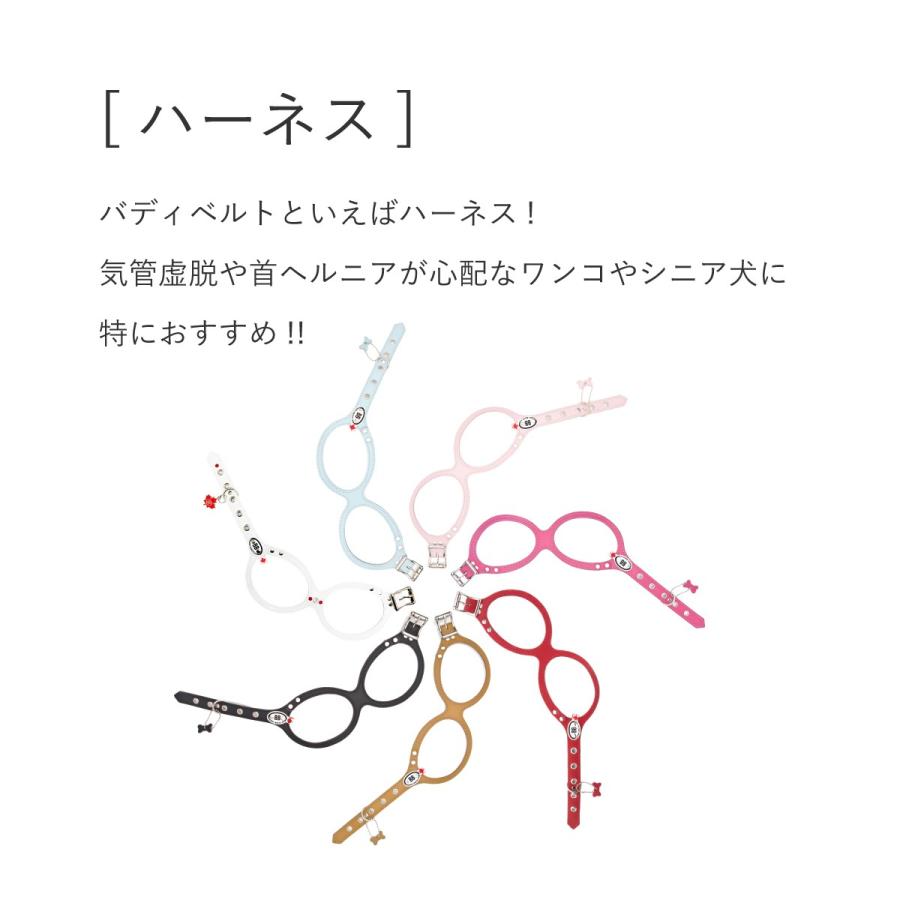 buddybelt（バディベルト）ナイロンアクセントリード Sサイズ