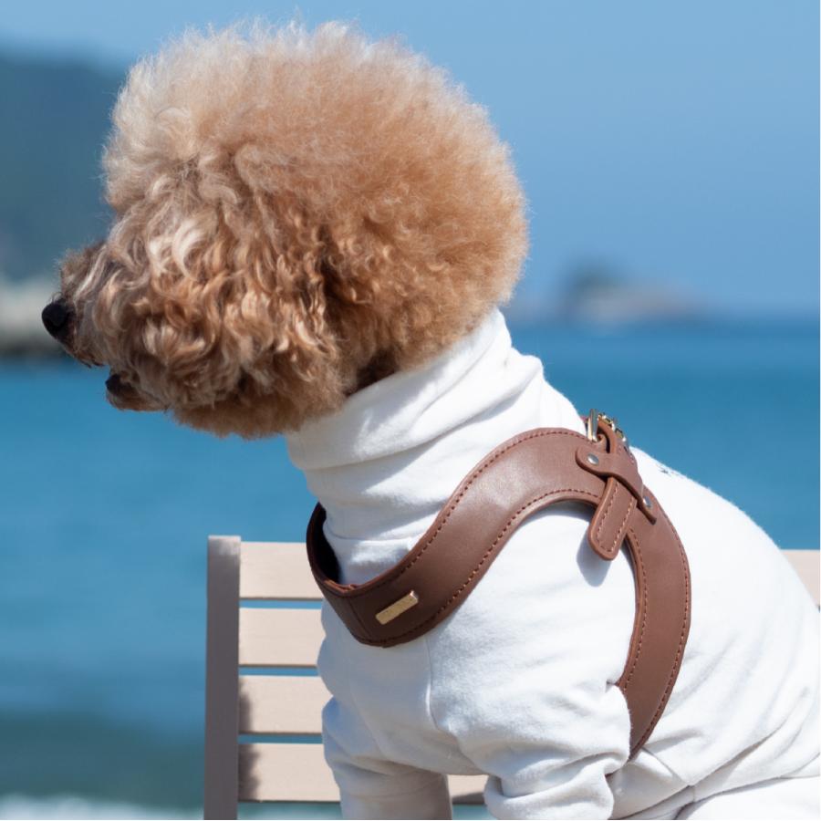 SALE30%OFF HIGH5DOGS（ハイファイブドッグ）メトロポリタン